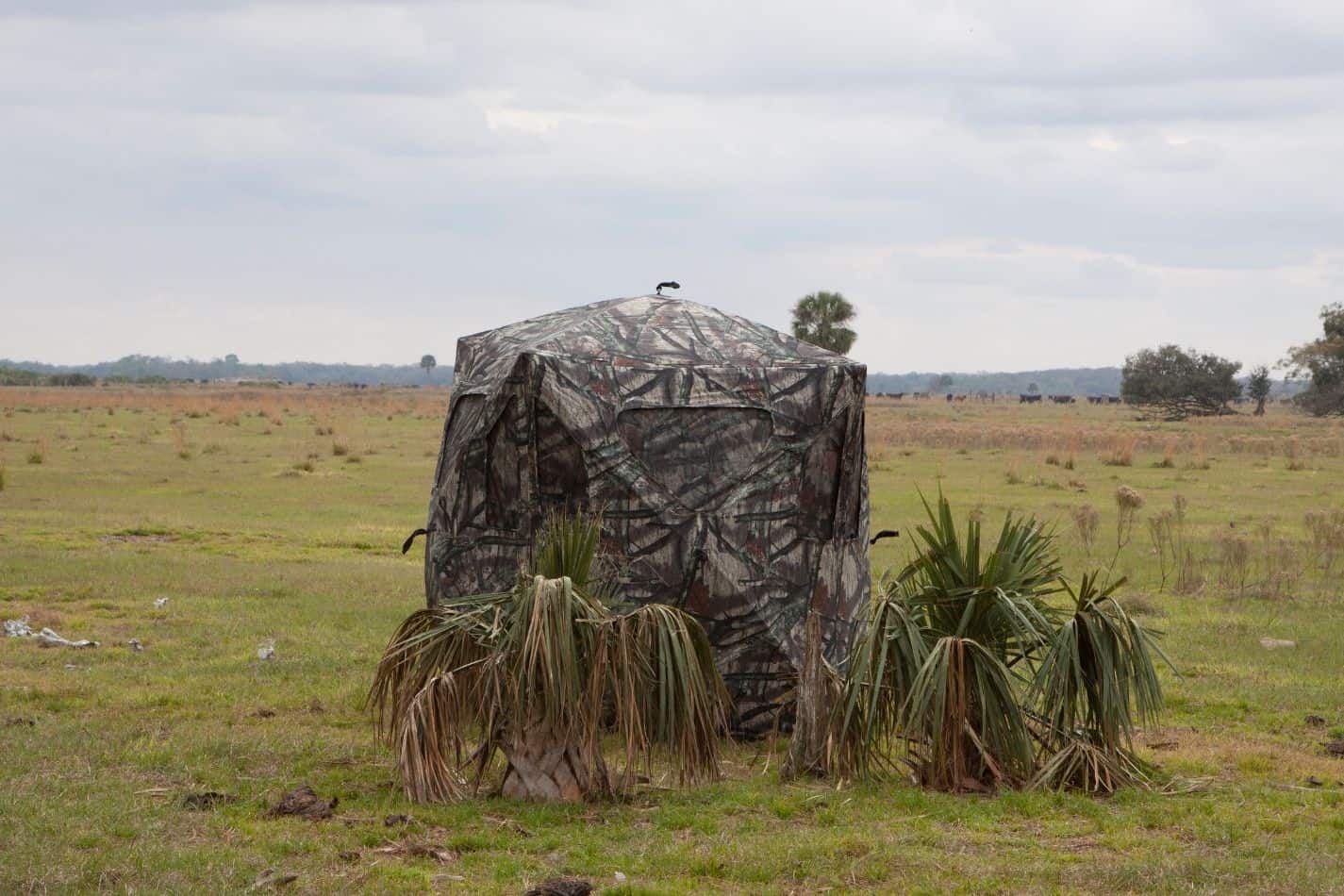 Do Ground Blinds Help With Scent Control? You May Be Surprised
