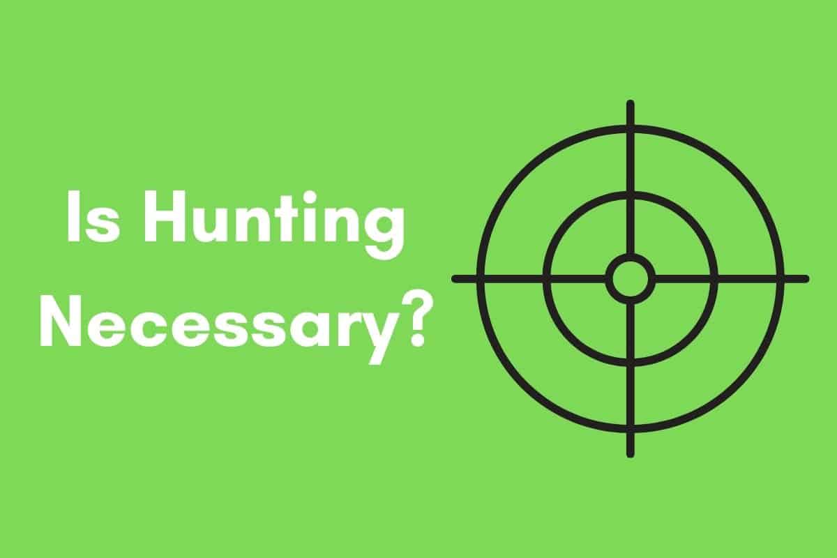 Is Deer Hunting Necessary? Our Analysis