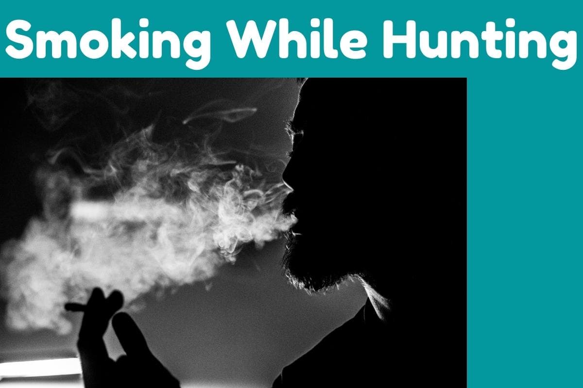 Smoking While Hunting – Can Deer Smell Cigarette Smoke?