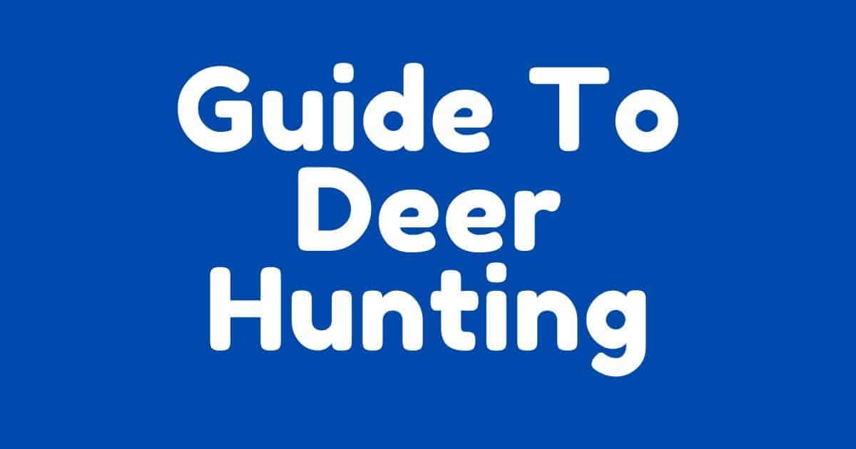 The Ultimate Guide to Deer Hunting in New York State: Season Dates, Tips, and Best Locations