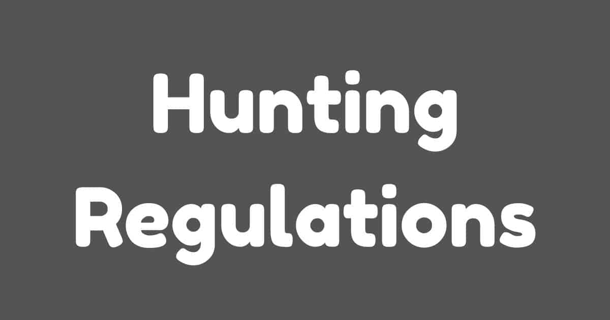 The Vital Role of Understanding Hunting Regulations for A Safe and Successful Hunt